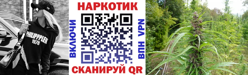 ГАШИШ Боготол