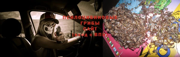 ГАЛЛЮЦИНОГЕННЫЕ ГРИБЫ Алексеевка