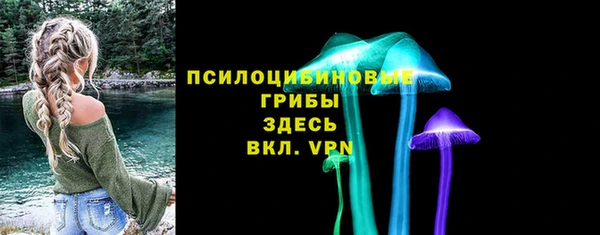 гашик Алзамай